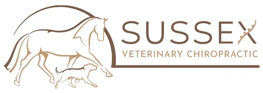 Sussex Veterinary Chiropractic in Sussex